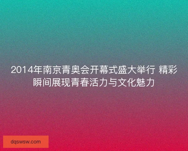 2014年南京青奥会开幕式盛大举行 精彩瞬间展现青春活力与文化魅力