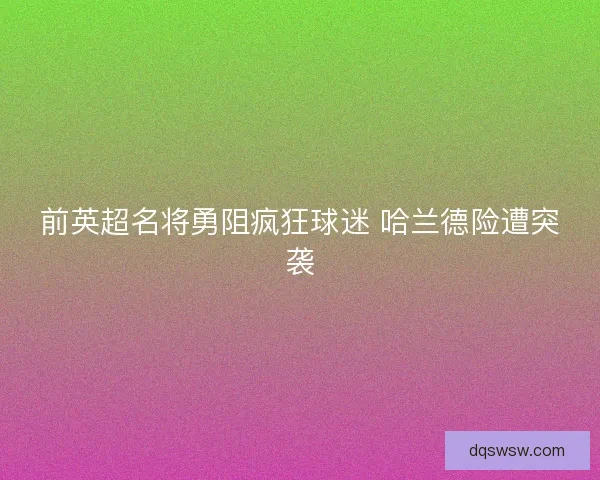 前英超名将勇阻疯狂球迷 哈兰德险遭突袭