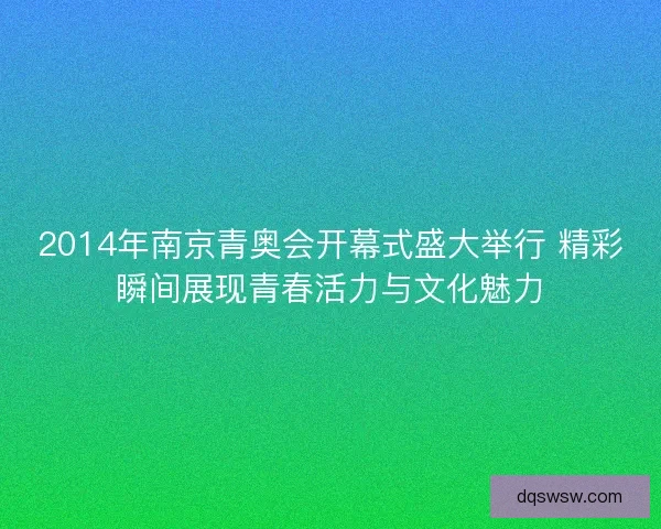 2014年南京青奥会开幕式盛大举行 精彩瞬间展现青春活力与文化魅力