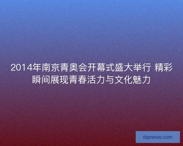 2014年南京青奥会开幕式盛大举行 精彩瞬间展现青春活力与文化魅力