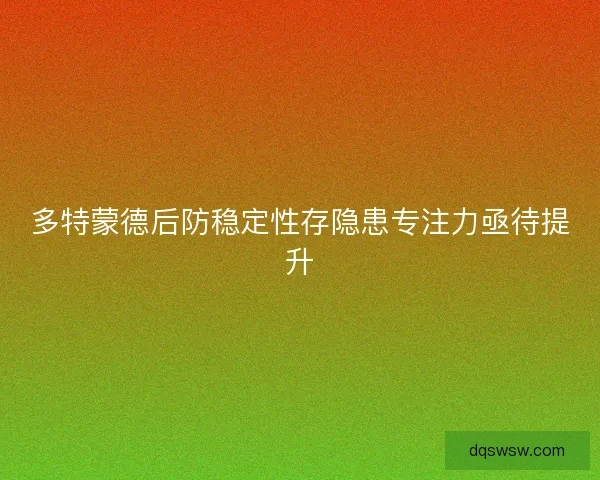 多特蒙德后防稳定性存隐患专注力亟待提升